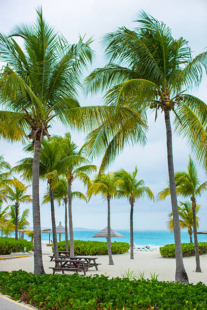 istock Beautiful tropical landscape on the exotic resort 529932287