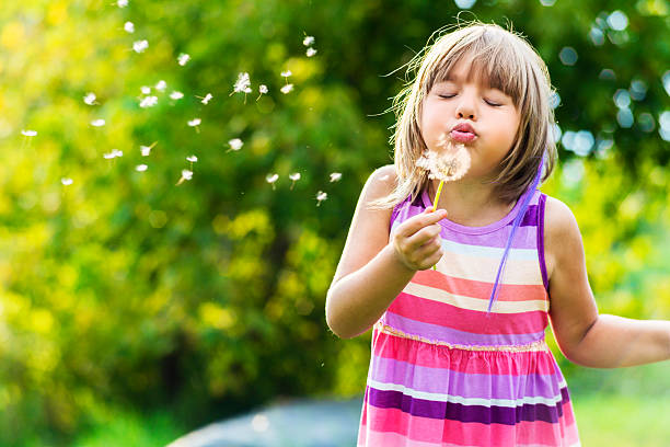istock Little girl blowing a dandelion 529934621