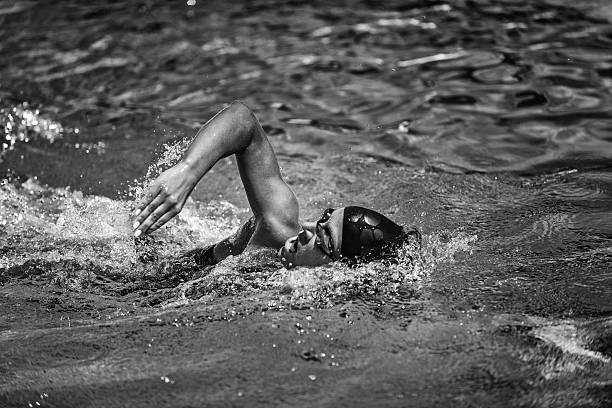 istock Swimming in black and white 529946597