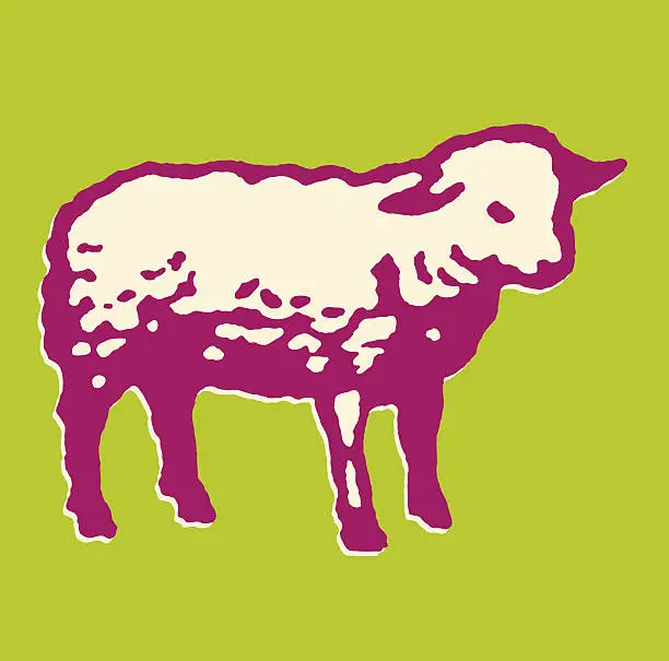 Vector illustration of Lamb