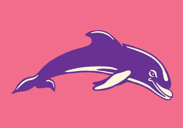 Vector illustration of Jumping Dolphin