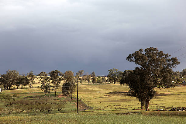 istock Cowra NSW Australia 529947871