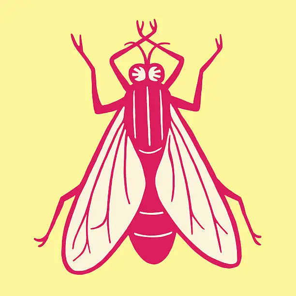 Vector illustration of Housefly