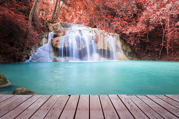 폭포 - waterfall erawan tropical rainforest tree 뉴스 사진 이미지