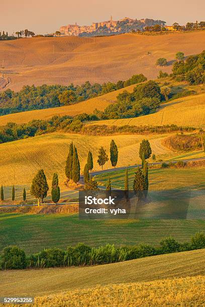 Tuscany Autumn Landscape Italy Stock Photo - Download Image Now - Alley, Autumn, Dreamlike