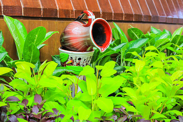 landscaping garden indoor