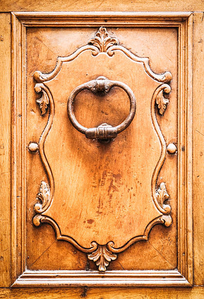 doorknocker - door knocker door lion luxury imagens e fotografias de stock