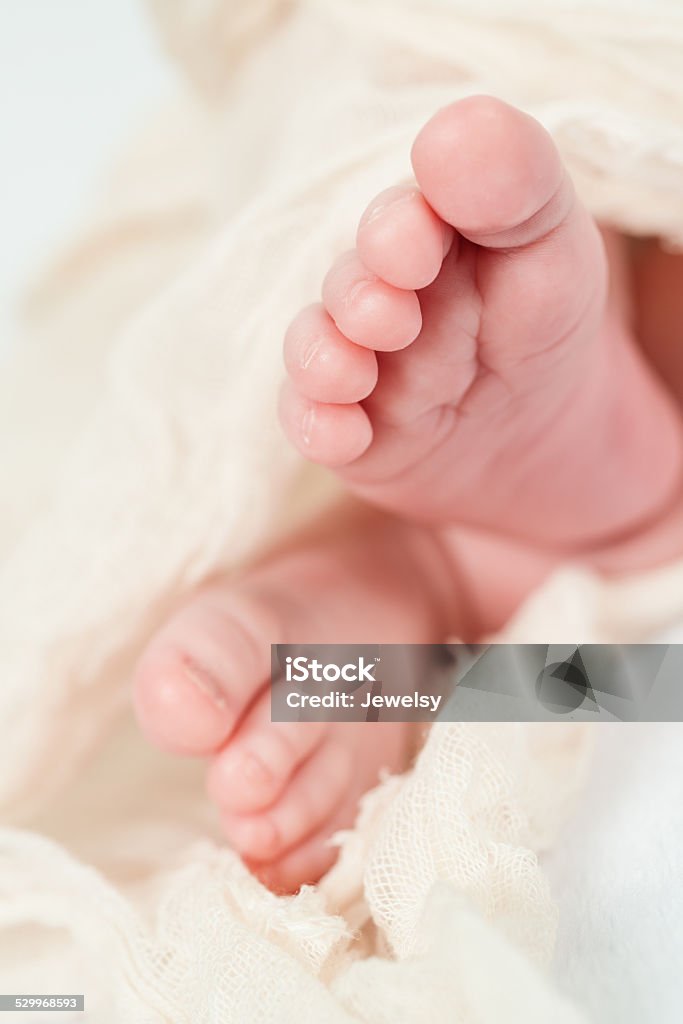 Newborn Baby Toes Babies Only Stock Photo