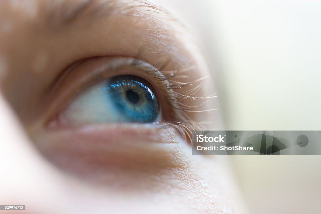 Focus on blue eyes Eye Stock Photo