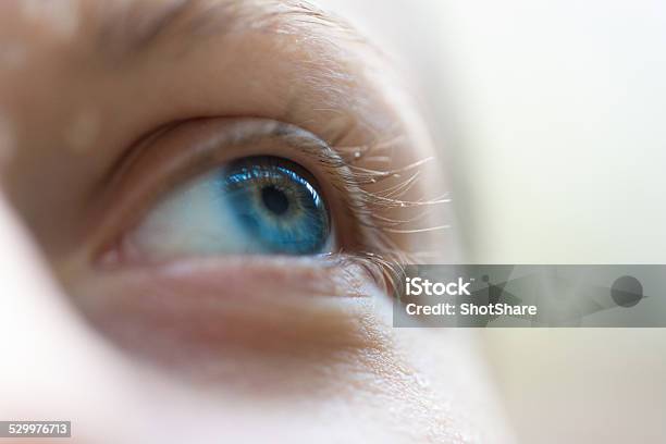 Focus On Blue Eyes Stock Photo - Download Image Now - Eye, Close-up, Looking Up