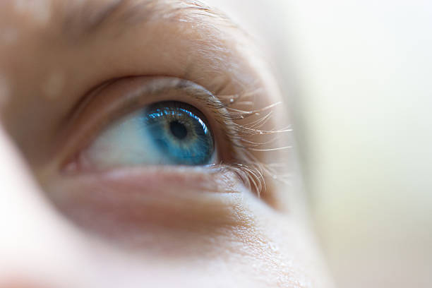 сосредоточьтесь на голубые глаза - reflection women human eye macro стоковые фото и изображения