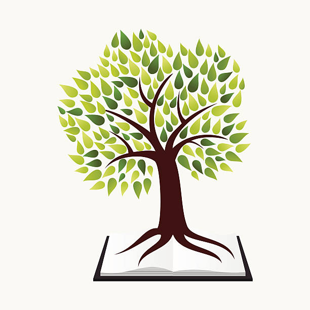 ilustraciones, imágenes clip art, dibujos animados e iconos de stock de educación concepto de árbol reserve - grammatical