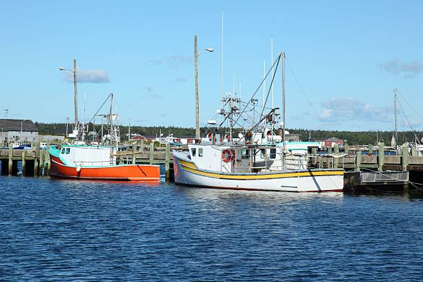 istock Boats tied to a wharf. 529977593