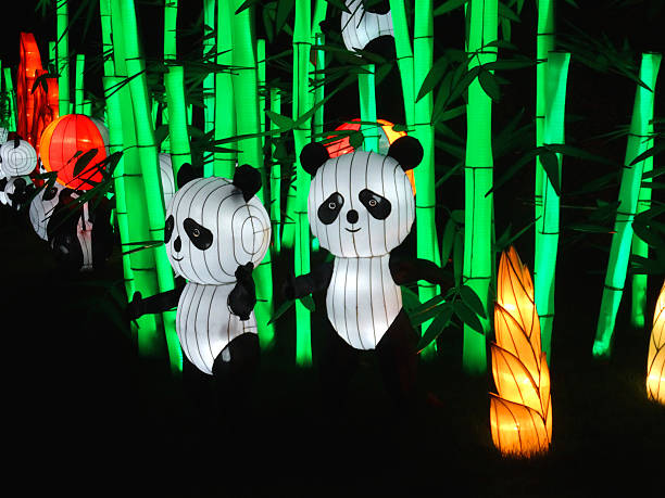 Frome, Somerset, England, UK - December, 6 2014: Seasonal concept photo showing magically illuminated Pandas at night. The oriental plastic models are displayed in front of a background of plastic bamboo and is part of a Chinese Festival of Lights.