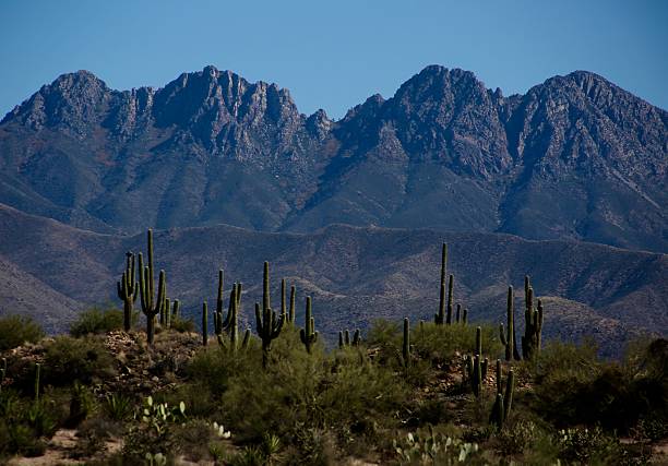 istock Four Peaks Mountains in Arizona 529979694
