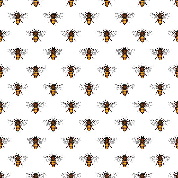 biene-muster - worker bees stock-grafiken, -clipart, -cartoons und -symbole