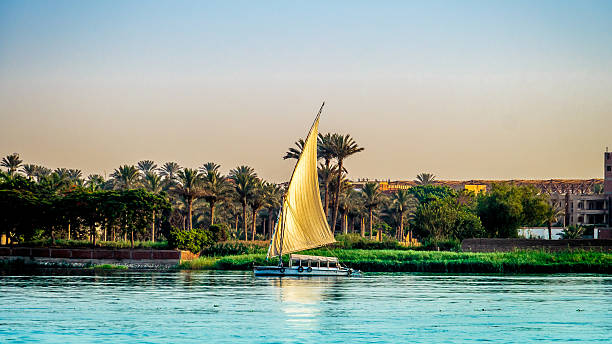 istock boat in the Nile river 529981554