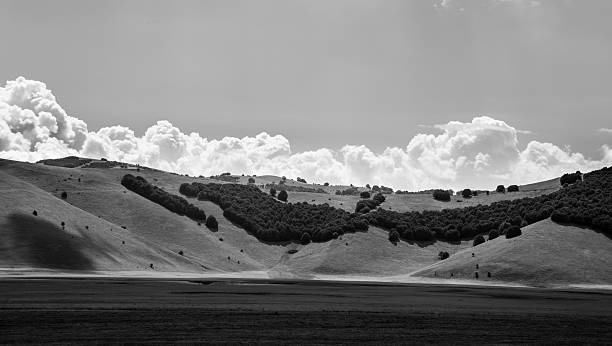 istock view of the fields of Italy 529981797