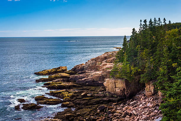 istock View of cliffs and Atlantic Ocean in Acadia National Park 529982213
