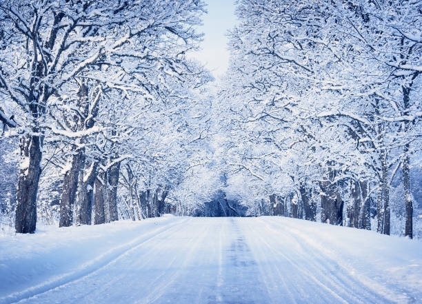 istock Alley in snowy morning 529982467
