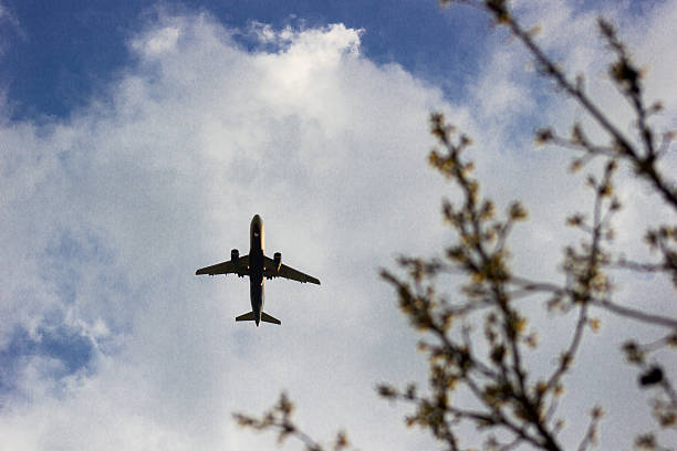 istock airplane flying in the blue sky with clouds 529983334