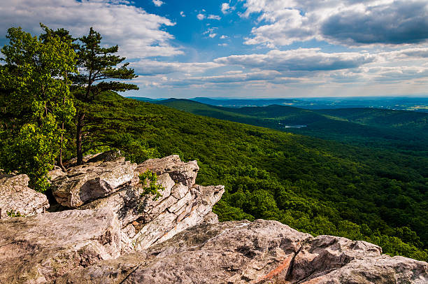 istock View from Annapolis Rocks, along the Appalachian Train on South 529983665