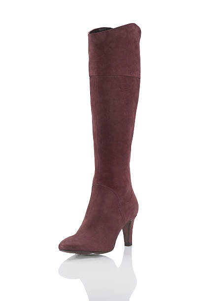 istock Fashionable women winter boot 529983831
