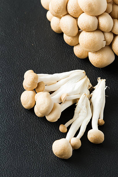 istock shimeji mushrooms brown varieties 529984272