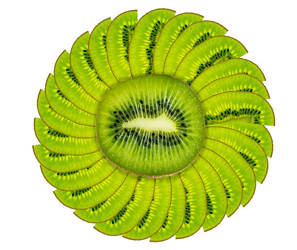 Kiwi fruit isolated on white