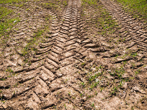istock Tractor tyre tracks in a field in spring 529985076