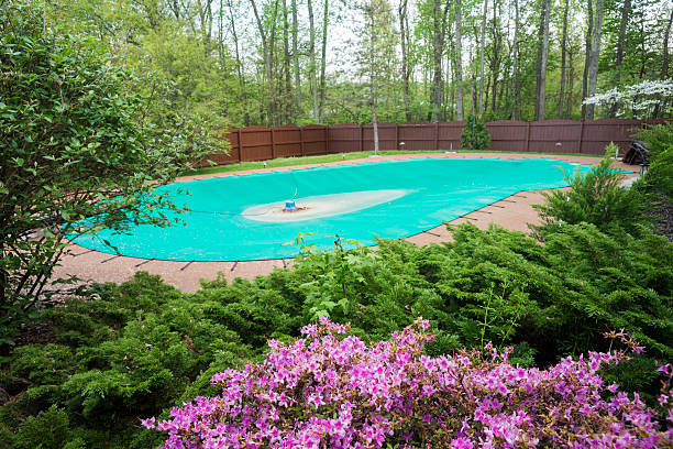 Spring time with flowers around inground pool stock photo