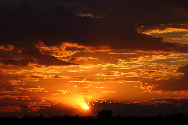 istock beautiful sunset in the field 529988002