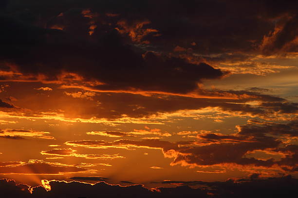 istock beautiful sunset in the field 529988296