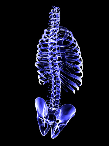 Rayos x columna vertebral humana pantalla photo