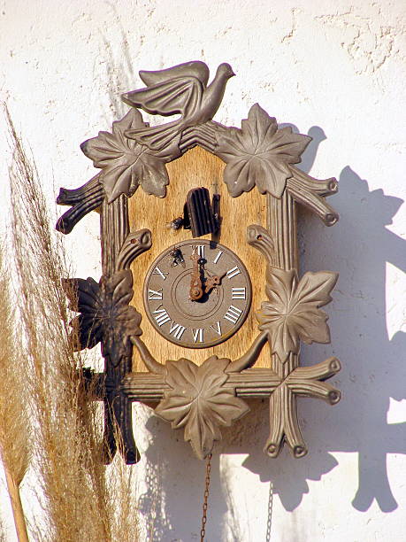 Traditional cuckoo-clock Traditional cuckoo clock hangling on a wall common cuckoo stock pictures, royalty-free photos & images