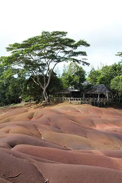 Coloured earth at the village of Chamarel on the island of Mauritius.