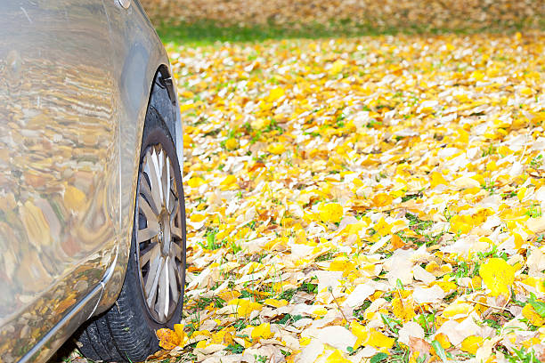 istock Car on the road covered with leaves 529992745