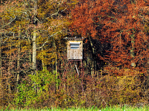 Hunting lookout construction in the edge of the autumn forest