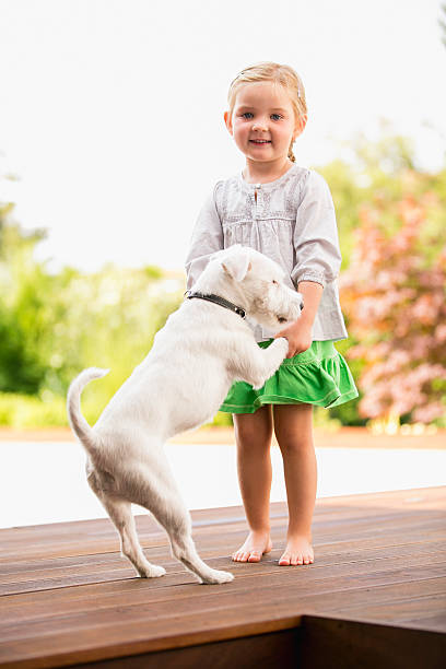 istock Young girl dancing outside with her dog 529994355