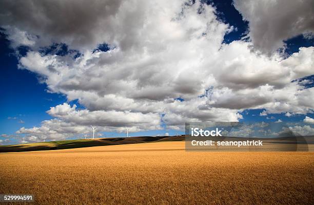 Wind Power Developed Over Wheat Fields Stock Photo - Download Image Now - Agricultural Field, Agriculture, Cereal Plant