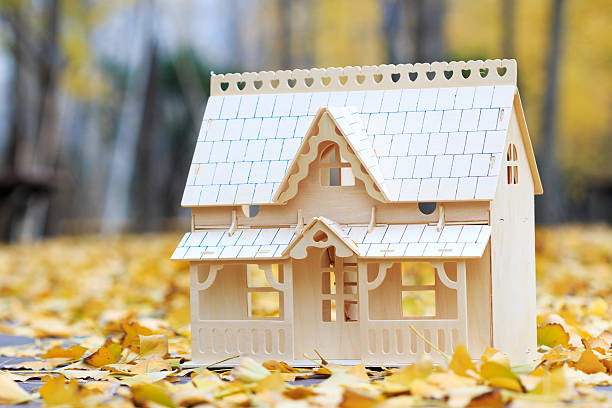 istock let's build our own house in this winter 529994633