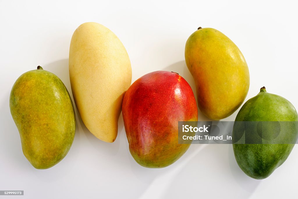 Mango varieties, Mango (Mangifera indica) from Pakistan, Israel, Brazil, Mango varieties, mango (Mangifera indica) from Pakistan, Israel, Brazil, Chance Stock Photo