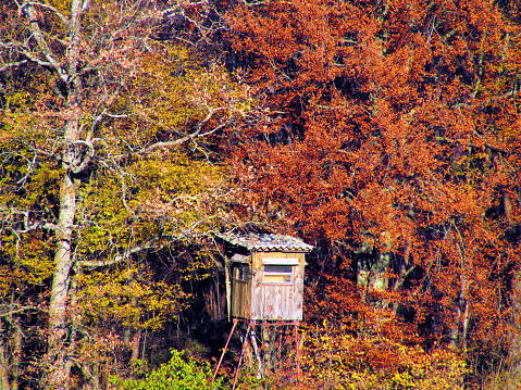 Hunting lookout construction in the edge of the autumn forest