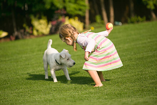 Young girl with dog playing in garden stock photo