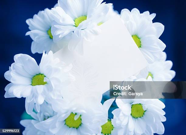 Greeting Card And Flowers Stock Photo - Download Image Now - Backgrounds, Beauty In Nature, Birthday