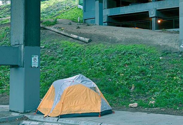 istock Homeless person's tent below viaduct in Seattle WA 529996477