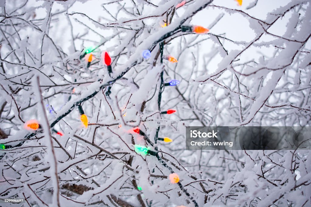 LED Christmas Lights And Hoar Frost Outdoor LED Christmas lights covered with a heavy coat of a hoar frost. Christmas Stock Photo