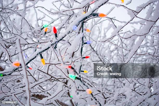 Led Christmas Lights And Hoar Frost Stock Photo - Download Image Now - Christmas, Christmas Decoration, Christmas Lights
