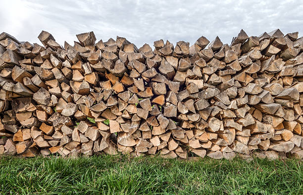 Woodpile on a meadow