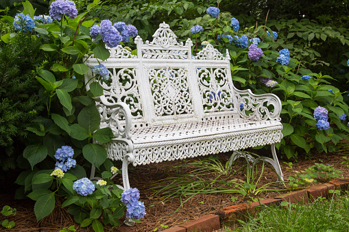 A white Victorian garden bench is surrounded by large blue hydrangea bushes. The bench is wrought iron with a detailed design of swirls and patterns.